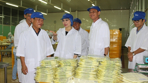 Safoco (SAF) sắp chia cổ tức bằng tiền, tỷ lệ 34%