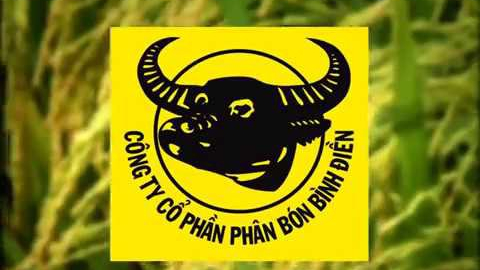 Phân bón Bình Điền (BFC) dự kiến 'cài số lùi' về lợi nhuận, cổ tức 15%