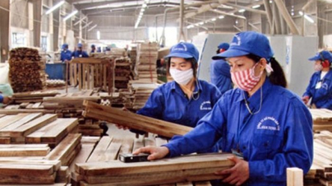 Gỗ Trường Thành (TTF) từ lãi hơn 6 tỷ đồng chuyển sang lỗ 1,2 tỷ đồng sau kiểm toán