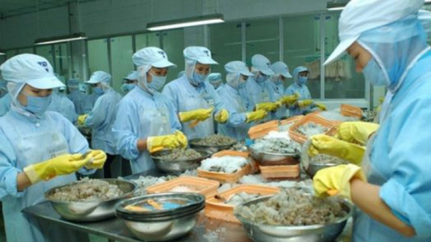 Thủy sản Thuận Phước (THP): Mục tiêu xuất khẩu thủy sản đạt 130 triệu USD, giá cổ phiếu vừa về 'mệnh'