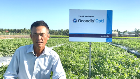 Syngenta Việt Nam 'trình làng' sản phẩm công nghệ mới phòng trị sương mai, giả sương mai trên rau màu