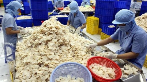 Bánh phồng tôm Sa Giang (SGC) “về tay” bà Trương Thị Lệ Khanh lên mục tiêu lãi 80 tỷ, trong khi quý I giảm 75%