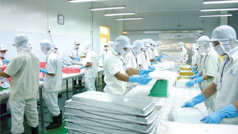Người nhà Chủ tịch Thủy sản Cửu Long An Giang (ACL) đăng ký thoái toàn bộ vốn