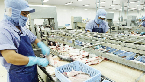 Caseamex (CCA) lên mục tiêu lãi giảm 47% xuống 30 tỷ đồng trong năm 2023