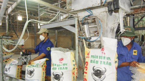 Phân bón Bình Điền (BFC) chốt ngày chia cổ tức lần cuối năm 2022 bằng tiền, tỷ lệ 14%