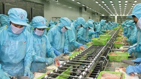 3 tháng đầu năm, IDI báo lãi giảm sâu 91% xuống 17,5 tỷ đồng