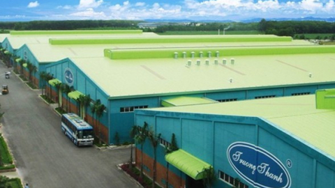 Gỗ Trường Thành (TTF) báo lãi lao dốc 90% còn vỏn vẹn 1,8 tỷ đồng