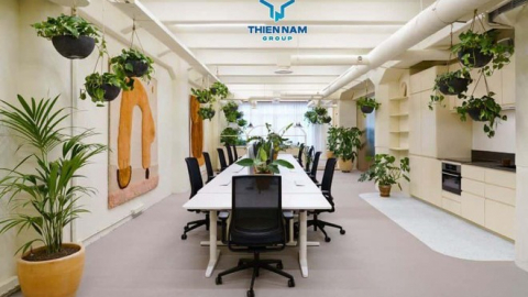Cổ phiếu TNA 'loay hoay giá đáy' 5.000 - 6.000 đồng/cp, lãnh đạo Thiên Nam Group nói gì?