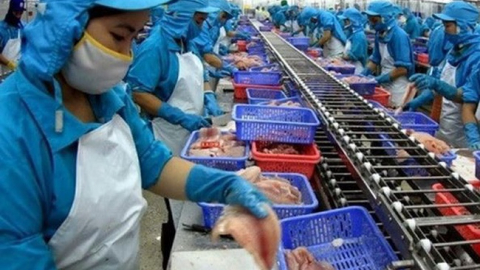 Thủy sản Mekong (AAM): Lợi nhuận quý II 'lao dốc', chỉ đạt 1,1 tỷ đồng