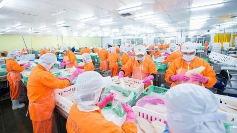 Nam Việt (ANV): Con trai Tổng giám đốc Doãn Tới đăng ký bán hơn 4 triệu cổ phiếu