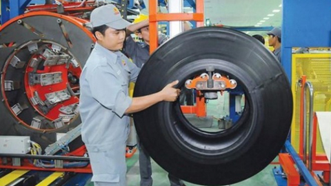 Casumina (CSM) báo lãi giảm 35% xuống 12,3 tỷ đồng, trữ tiền tăng 2,8 lần