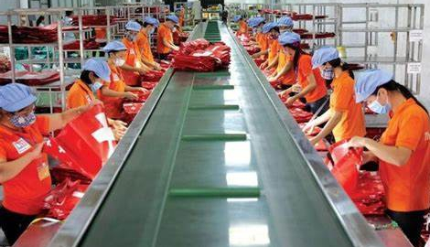 Doanh thu tịnh tiến, vì sao lợi nhuận trước thuế của Thuận Đức (TDP) vẫn 'bốc hơi' 80%?