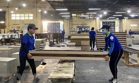 Gỗ Thuận An (GTA) ước tính quý II/2023 lãi hơn 3 tỷ đồng