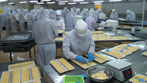 Camimex Group (CMX): Lãi giảm gần 47% xuống 24,8 tỷ đồng trong quý II/2023
