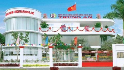 Giá gạo tăng, xuất khẩu nhiều Trung An Rice (TAR) lỗ 8 tỷ trong quý II/2023, vì đâu?