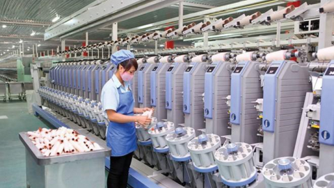 DamSan (ADS): Lãi quý II tăng 43,4%, 6 tháng giảm 14,6% so với cùng kỳ