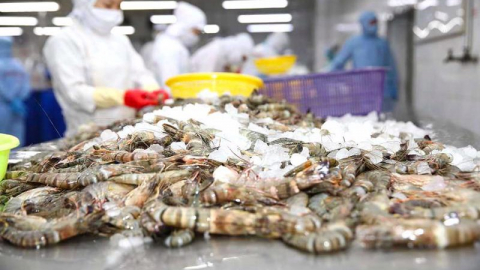 Minh Phú lỗ hơn 88 tỷ trong 6 tháng đầu năm, chiến lược của ông Lê Văn Quang có đưa MPC về đích?