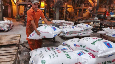 Đạm Phú Mỹ (DPM) sắp chốt danh sách chi cổ tức tỷ lệ 30%, quý II/2023 lãi giảm gần 92%