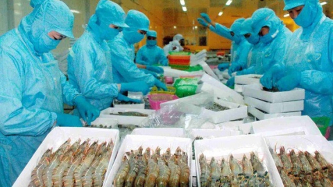 Thủy sản Bến Tre (ABT): Chi phí lãi vay tăng vọt, lãi sau thuế 28,4 tỷ đồng quý II