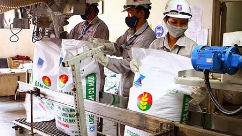 Giá phân bón có dấu hiệu tích cực, lợi nhuận các ông lớn DPM, BFC được dự phóng thế nào?