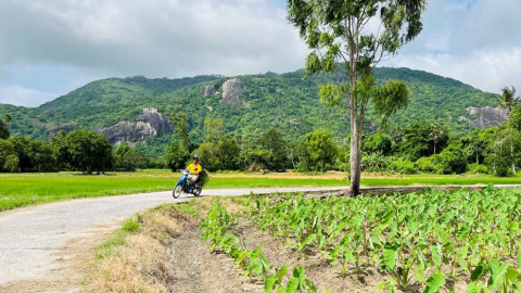 Cung đường bê-tông nông thôn đẹp như phim, view đang hot nhất ở An Giang, ai đi Bảy Núi ráng ghé một lần