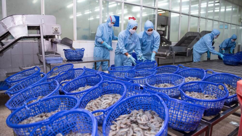 Cước vận chuyển 'ăn mòn' lợi nhuận của Sao Ta (FMC) 