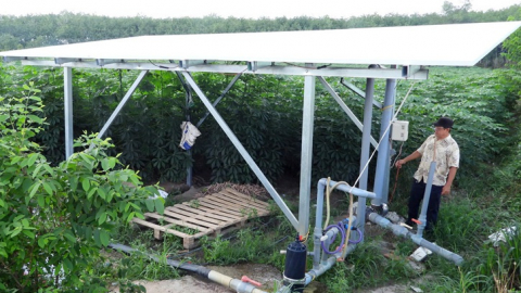 Nông dân Tây Ninh dùng năng lượng mặt trời kết hợp tưới nhỏ giọt cho khoai mì, giảm phát thải CO2