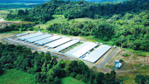 Trang trại heo Mavin đạt tiêu chuẩn toàn cầu GlobalGAP