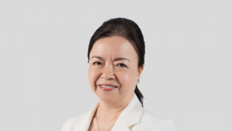 REE: 'Nữ tướng' Mai Thanh rời ghế Chủ tịch HĐQT, quỹ ngoại Platium Victory muốn nâng sở hữu lên hơn 42% vốn