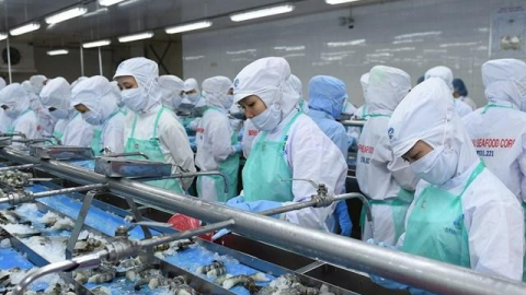 Doanh số tháng 11 của Sao Ta (FMC) đạt 18,38 triệu USD, tăng 5%