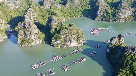Thực hư thông tin “UNESCO xem xét loại vịnh Hạ Long khỏi danh sách Di sản thế giới”