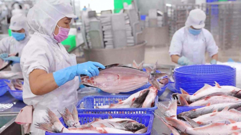 VASEP tổ chức 'Lễ mừng xuất khẩu thủy sản đạt trên 10 tỷ USD': Riêng con tôm mang về trên 100.000 tỷ đồng 