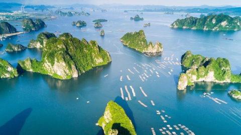 Cục Di sản văn hóa phản hồi vụ Vịnh Hạ Long bị UNESCO xem xét loại khỏi danh sách Di sản thiên nhiên thế giới