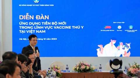 Nông dân còn e dè, doanh nghiệp đề xuất giải pháp thương mại hóa vaccine Dịch tả lợn châu Phi