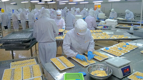 Camimex Group lãi lớn trong quý IV/2023 nhưng cả năm chỉ thực hiện được 71% kế hoạch