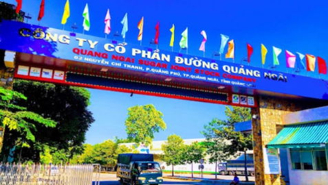 Đường Quảng Ngãi (QNS) sắp chi 714 tỷ đồng tạm ứng cổ tức đợt 3/2023