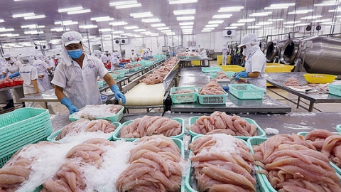 Thương mại Việt Nam-Australia tăng trưởng bền vững nhờ 'bàn đạp' FTA