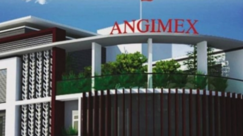 Cổ phiếu AGM 'cháy hàng' trong phiên đầu trở lại sàn HoSE