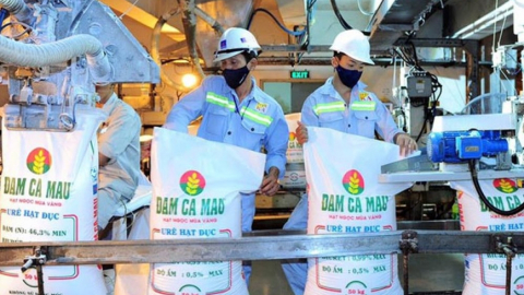 Đạm Cà Mau (DCM) ghi nhận mảng xuất khẩu tháng 2 tăng gấp 10 lần tháng trước