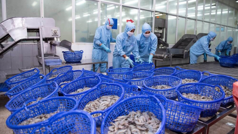 Thực phẩm Sao Ta (FMC) trình kế hoạch lãi đạt 320 tỷ đồng năm 2024