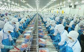 Vĩnh Hoàn (VHC) góp thêm 350 tỷ đồng vào công ty con