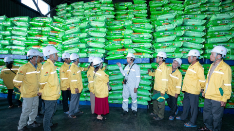 DCM đồng hành cùng nông dân trong chuỗi chương trình 'Tham quan nhà máy - Gặt hái mùa vàng' 