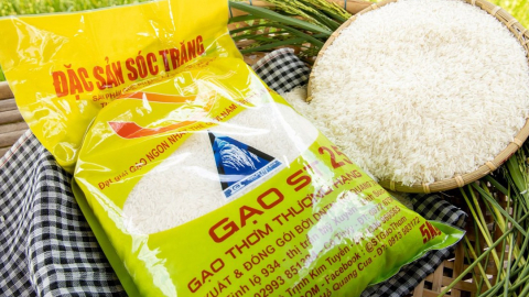 Thông tin gạo ST24, ST25 được hưởng ưu đãi thuế quan khi xuất khẩu sang EU là không chính xác