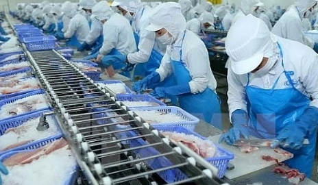 Vĩnh Hoàn (VHC) xin gia hạn nộp Báo cáo tài chính quý I/2024 đến ngày 15/5