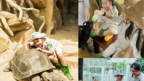 Siêu hot trải nghiệm “nhập vai bảo mẫu nhí” cực hút khách tại Vinpearl Safari