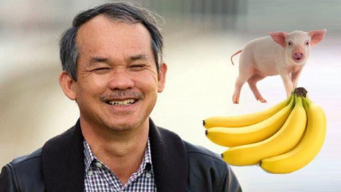 Hoàng Anh Gia Lai (HAG): Lộ thời gian HAGL Agrico trả 1.100 tỷ đồng, sẽ IPO một công ty chăn nuôi