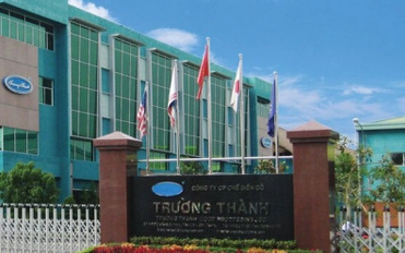 Gỗ Trường Thành (TTF) lý giải về việc bị cưỡng chế thuế gần 23 tỷ đồng