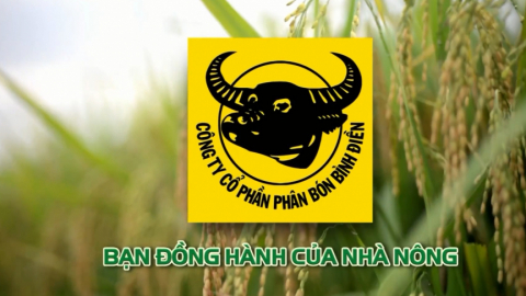 Tập đoàn Hóa chất Việt Nam sắp nhận được hơn 74 tỷ đồng cổ tức từ Phân bón Bình Điền (BFC)