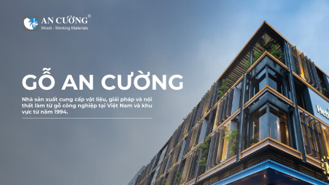 ĐHĐCĐ 2024: Gỗ An Cường (ACG) đặt mục tiêu 'thận trọng', tiết lộ loạt vấn đề 'nóng' ngành gỗ?