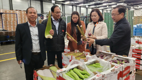 Đoàn công tác TƯ Hội NDVN thăm, làm việc tại Công ty dịch vụ vận chuyển quốc tế logistics LBP của Hà Lan